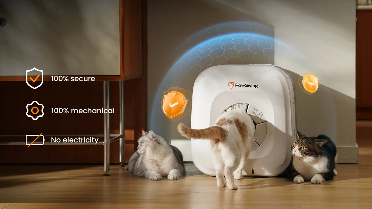 Katzenhaus mit Fellpflege - sicher im Alltag