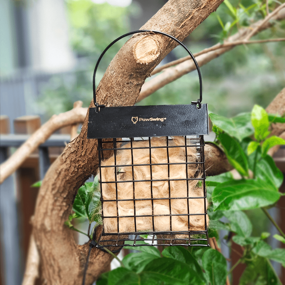 Robuster PawSwing® Katzenhaar-Käfig sicher an einem Ast befestigt, der Vögeln Fell zum Nestbau bietet