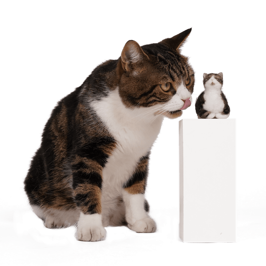 Kollektion individueller PawSwing® Katzenfiguren mit verschiedenen Rassen und Fellmustern