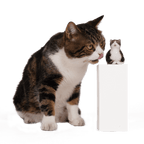 Kollektion individueller PawSwing® Katzenfiguren mit verschiedenen Rassen und Fellmustern