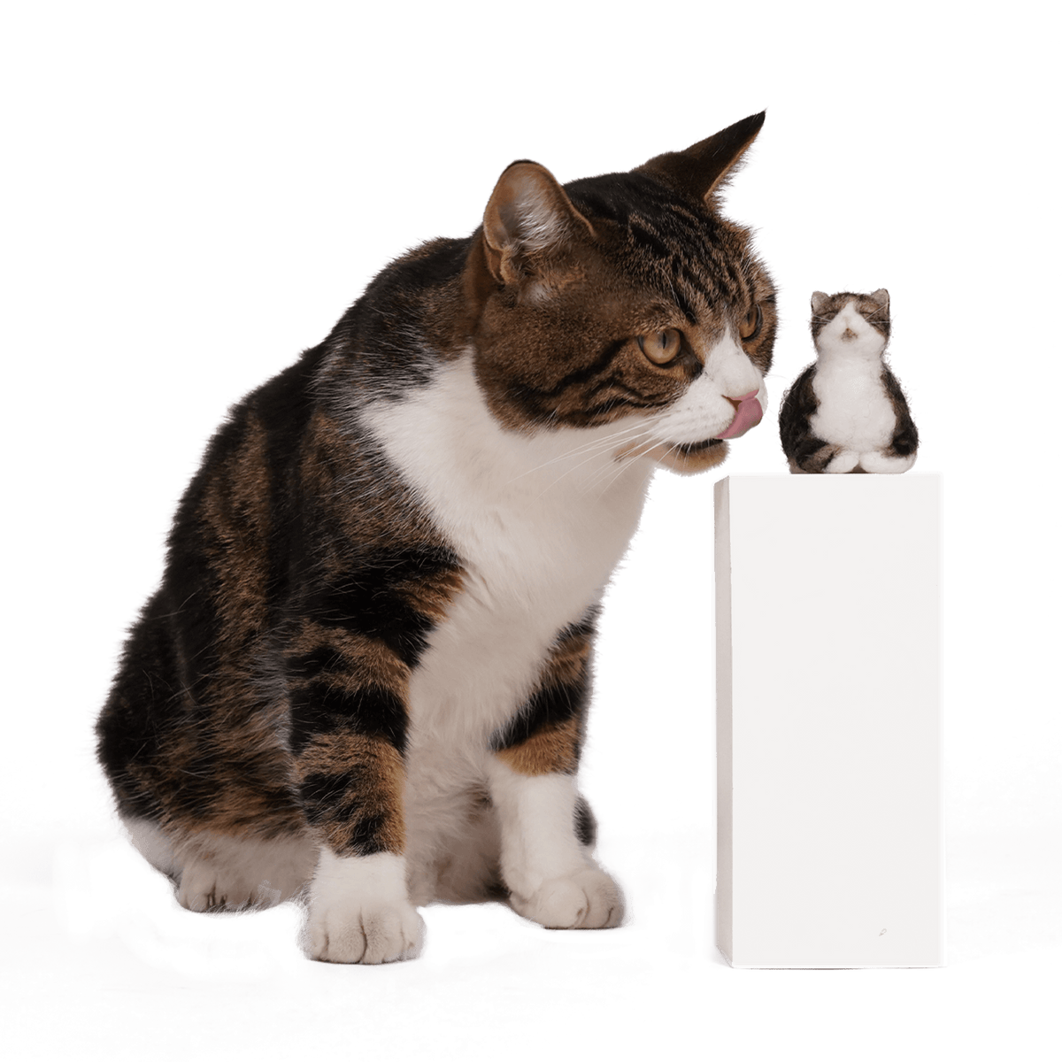 Kollektion individueller PawSwing® Katzenfiguren mit verschiedenen Rassen und Fellmustern