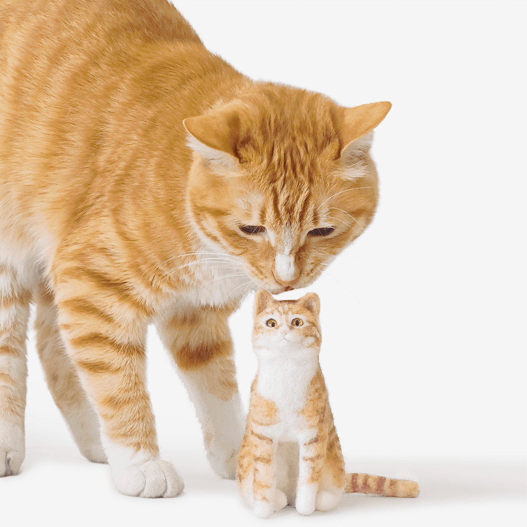 Hochwertiges PawSwing® Filz-Katzenspielzeug, langlebig und sicher für interaktives Spielen