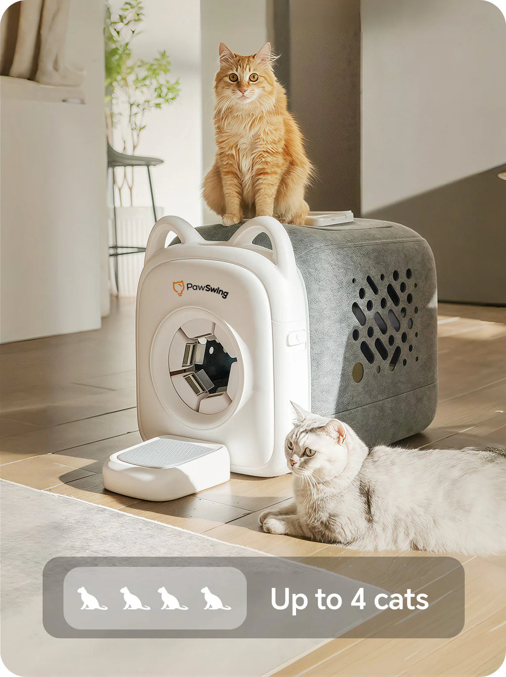 Mehrkatzenfreundlich