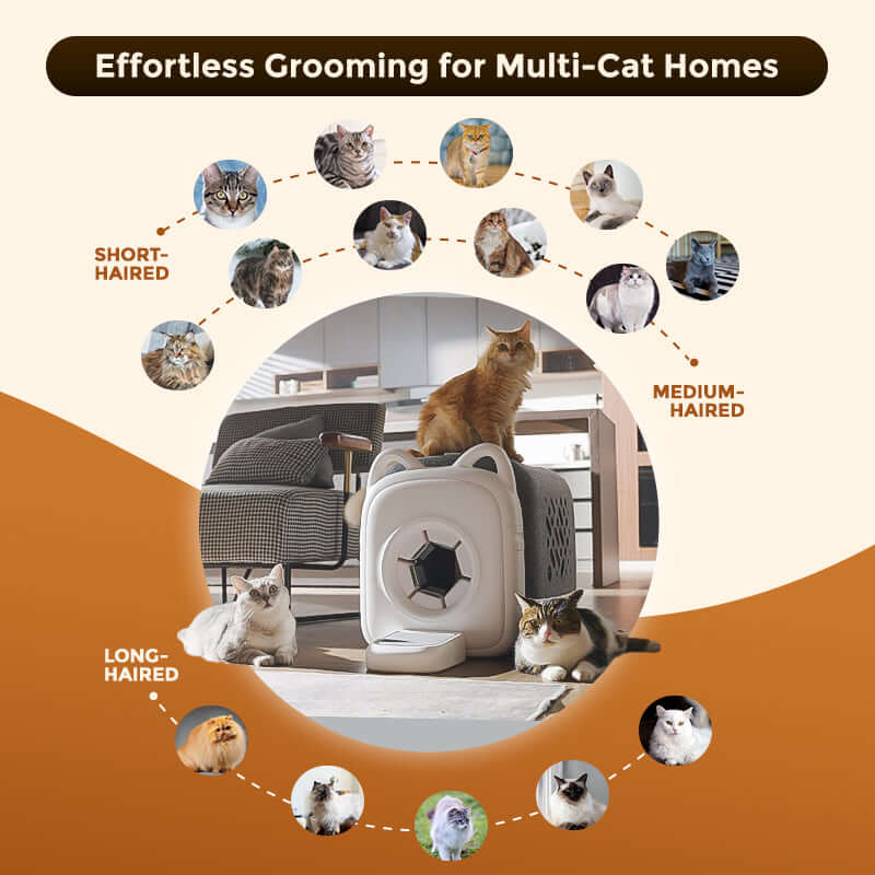 Zwei Katzen entspannen und interagieren mit einer PawSwing Pflegestation und zeigen den multifunktionalen Nutzen eines hochwertigen Katzen-Selbstpflegegeräts