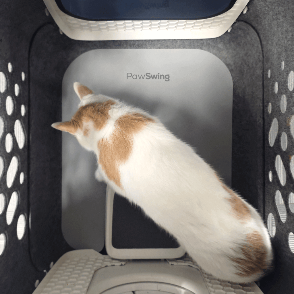 Draufsicht auf eine Katze, die die weiche Oberfläche der PawSwing® Katzenbox-Matte genießt