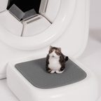 Detailansicht individueller PawSwing® Katzen-Filzfiguren aus hochwertigen Materialien für einen realistischen Look
