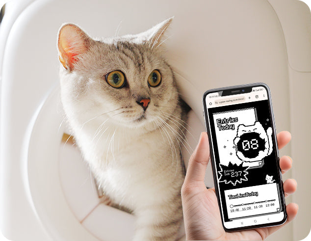 Nutzungsdaten per Sensor verfolgen