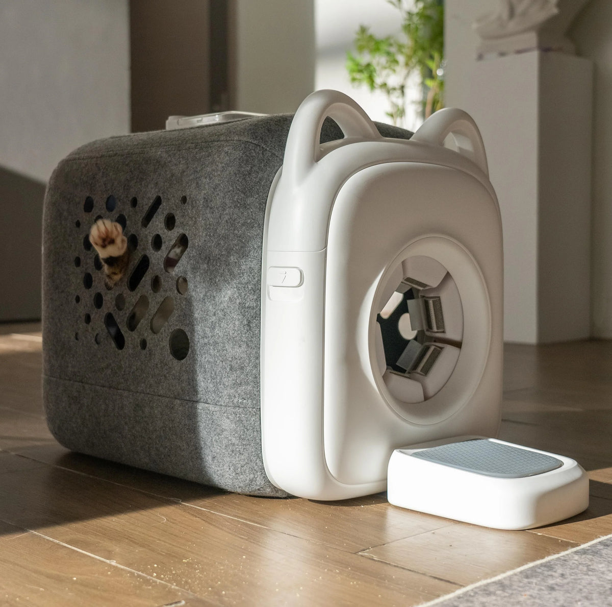 PawSwing Markenentwicklung und automatische Katzenpflege