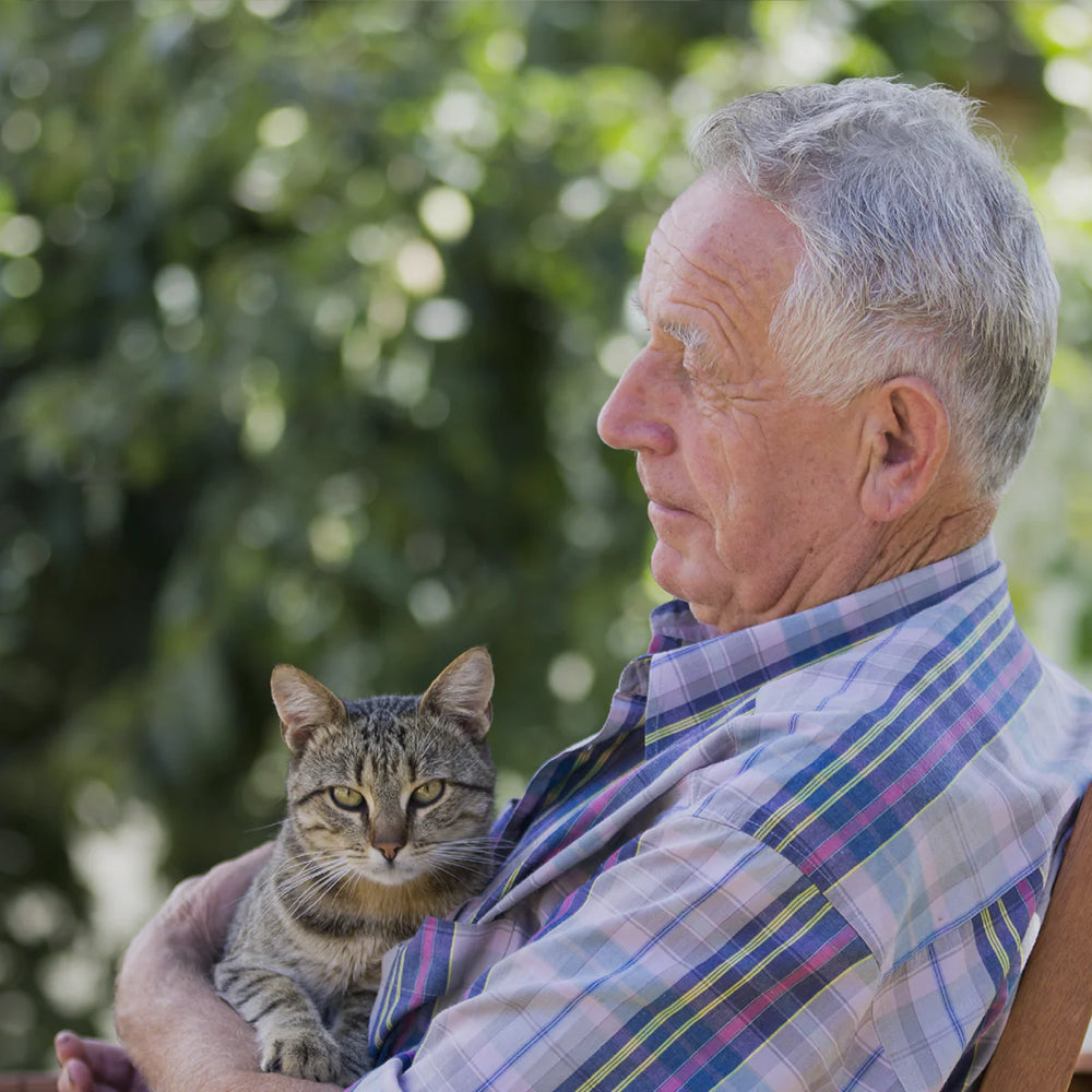PawSwing Unterstützung für Seniorinnen und Senioren
