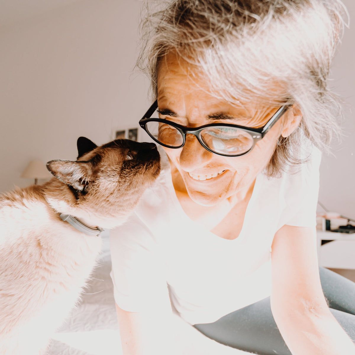 cat reaches its face towards its smiling owner