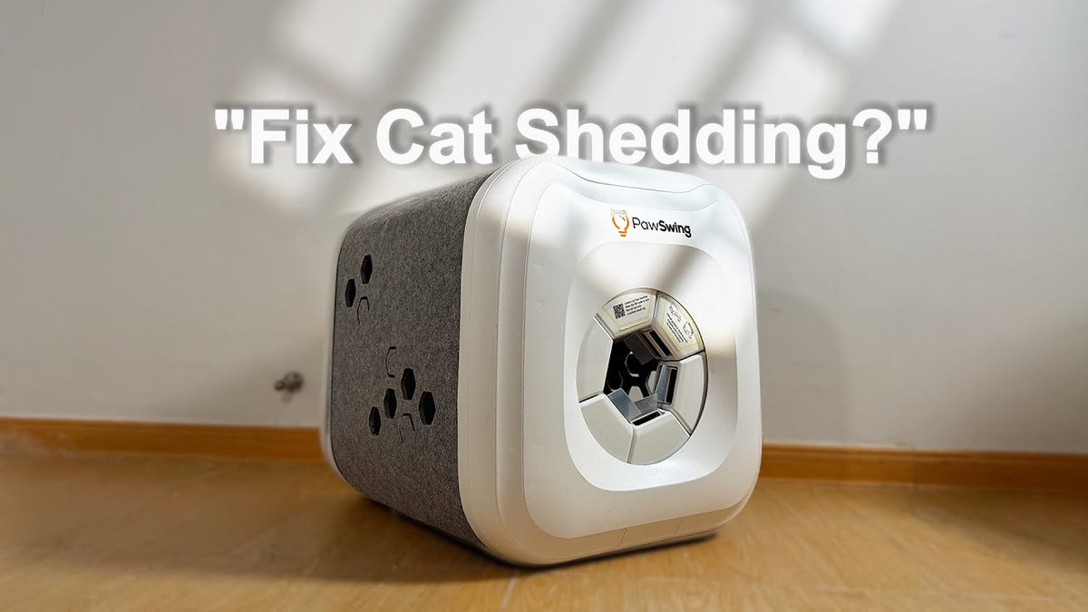 PawSwing Auspacken und ausführlicher Test