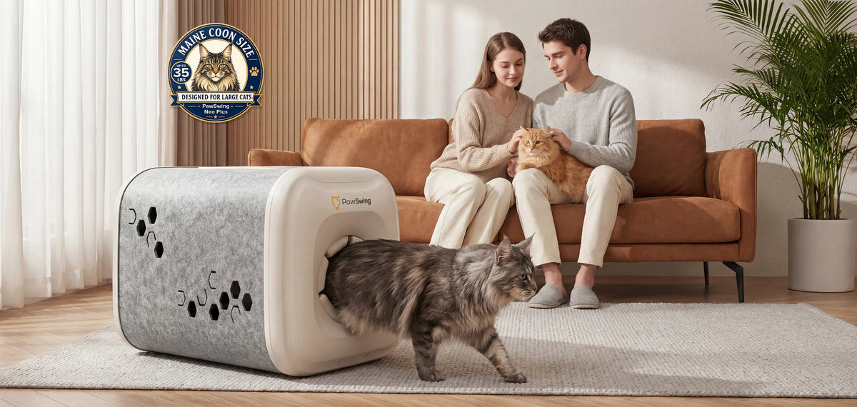 pawswing Neo plus Product details page header image best way to groom a cat 0001