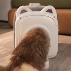 Katze beim Betreten eines PawSwing AutoComb Pro Pflegegeräts, das sein einzigartiges Design und seine Funktionen zeigt.