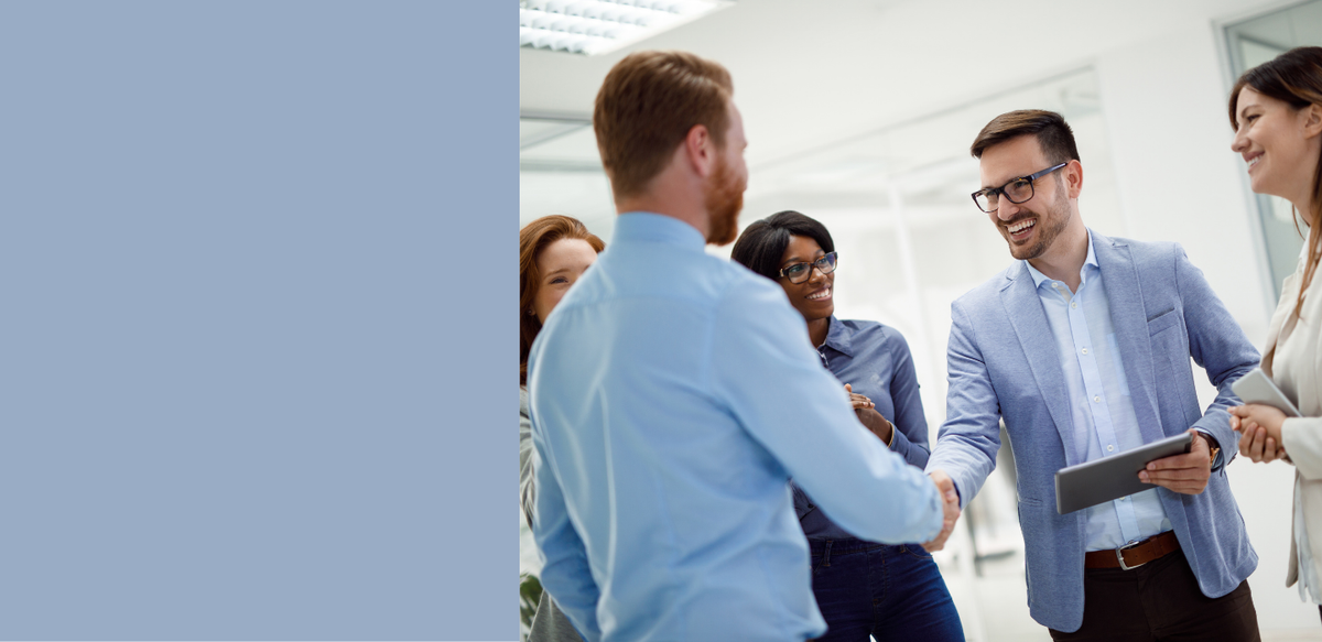 PawSwing Partnerprogramm für Reseller und Distributoren